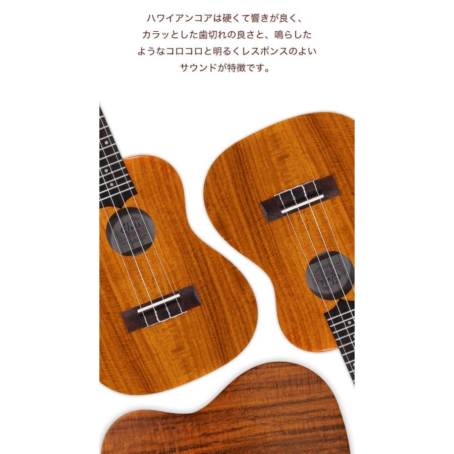 ELVIS エルビス ウクレレコンサートコア材スロテッドK100C ケース付 楽天市場】ELVIS エルビス ウクレレ コンサートサイズ ハワイアンコア