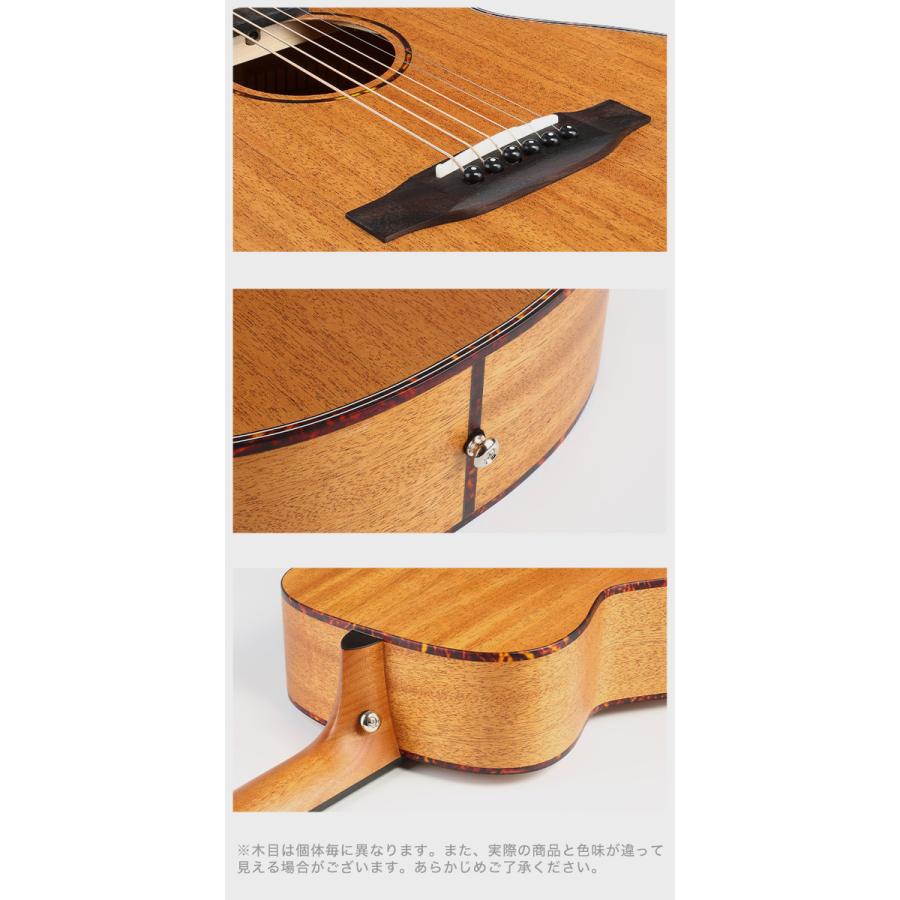 初心者定番9点セット】ELVISエルビス Master Mini 10・抱え 初心者定番9点セット】ELVISエルビス Master Mini 10・抱え