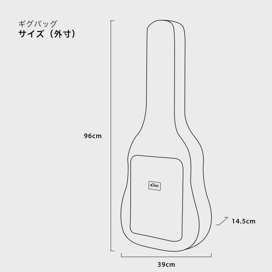 初心者定番9点セット】ELVISエルビス Master Mini 10・抱えやすい本格