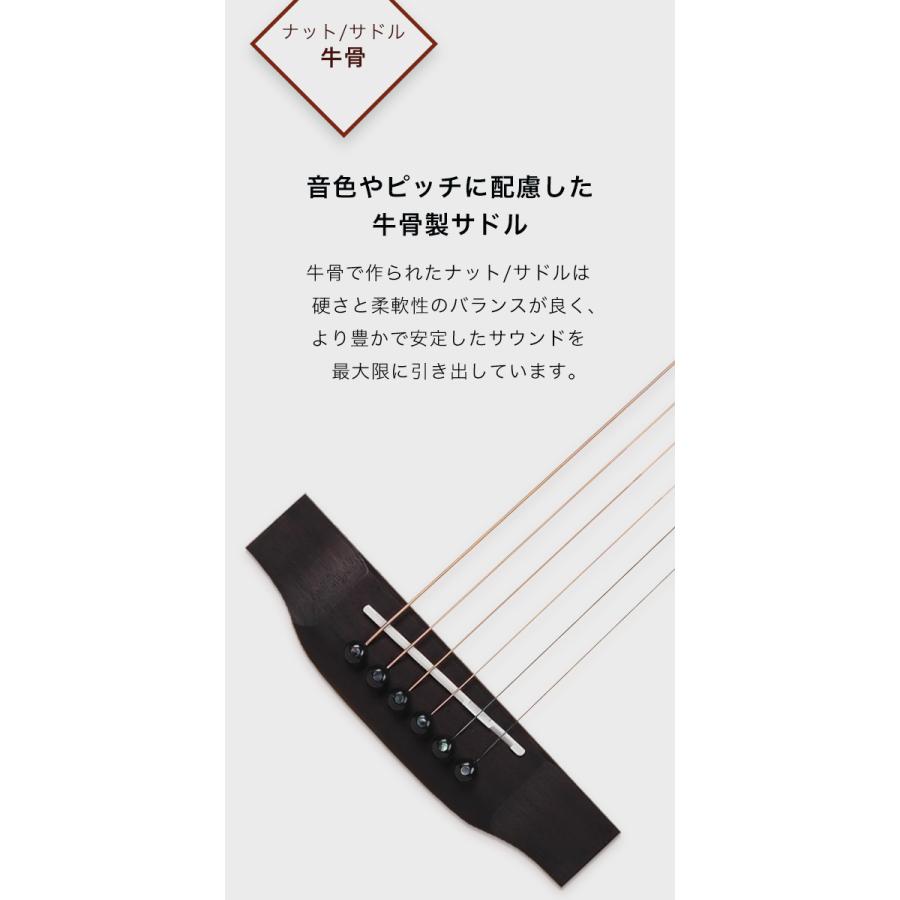 初心者定番9点セット】ELVISエルビス Master Mini 20