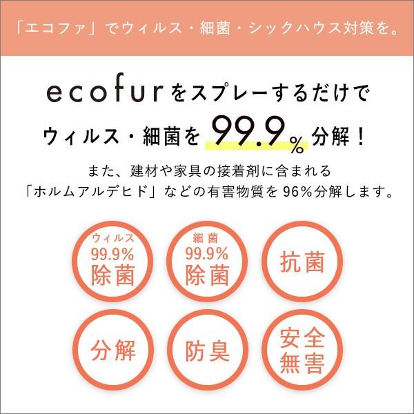 エコファ ウィルス・細菌・シックハウス対策スプレー(300mlタイプ)ウィルス、細菌、有害物質の除菌＆分解、抗菌、消臭効果【ECOFUR】24本セット 除菌剤、抗菌剤 BCD1918556014(16871円)