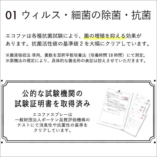 エコファ ウィルス・細菌・シックハウス対策スプレー(300mlタイプ)ウィルス、細菌、有害物質の除菌＆分解、抗菌、消臭効果【ECOFUR】24本セット 除菌剤、抗菌剤 BCD1918556014(16871円)