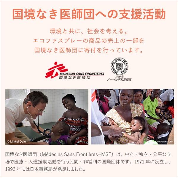 エコファ ウィルス・細菌・シックハウス対策スプレー(300mlタイプ)ウィルス、細菌、有害物質の除菌＆分解、抗菌、消臭効果【ECOFUR】24本セット 除菌剤、抗菌剤 BCD1918556014(16871円)