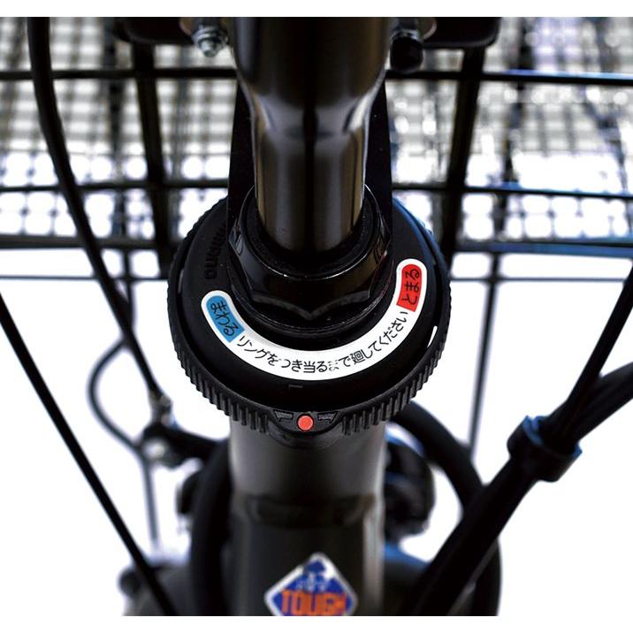 Assista パンクしない ブリヂストン 電動アシスト自転車 Assista パンクしない ブリヂストン 電動アシスト自転車