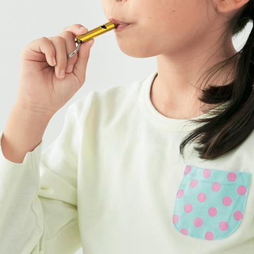 ホイッスル 笛 地震 台風対策 避難用グッズ 防災 緊急用LED