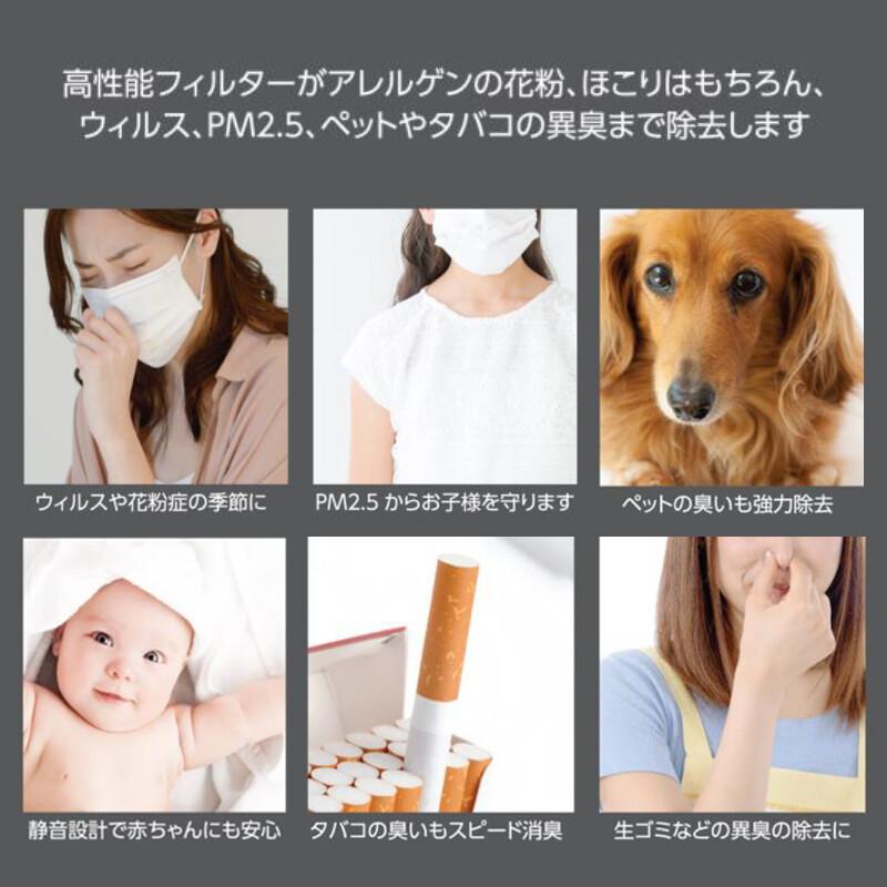 空気清浄機 ウイルス除去 除菌 消臭 マイオンイオン 小型 コンパクト
