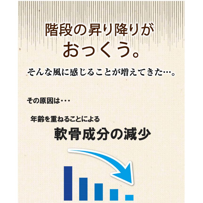 あおもりPG サケ鼻軟骨成分 プロテオグリカン グルコサミン コンドロイチン 配合 サプリ ASTALIVE アスタライブ  ロコモスト 90粒 30日分 | ASTALIVE | 03