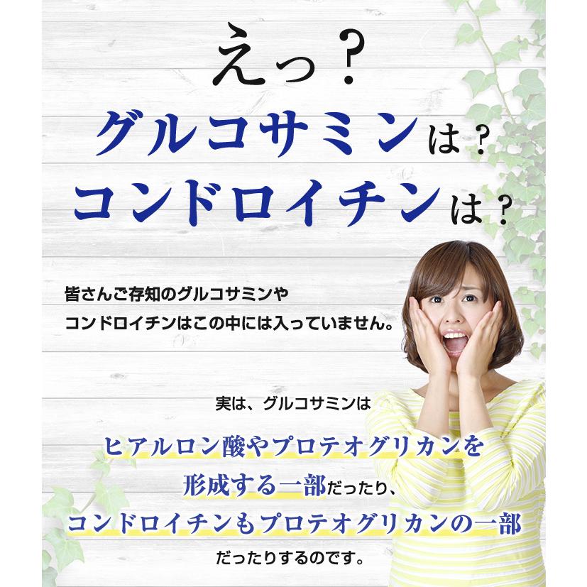 あおもりPG サケ鼻軟骨成分 プロテオグリカン グルコサミン コンドロイチン 配合 サプリ ASTALIVE アスタライブ  ロコモスト 90粒 30日分 | ASTALIVE | 06