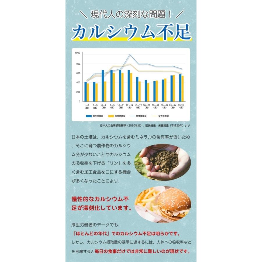 天然 カルシウム マグネシウム サプリメント 栄養機能食品 ASTALIVE アスタライブ カルマグ月桃 骨健 沖縄県 北大東島産 120粒 30日分 ビタミンD新配合 :B001:AEShop ヤフー店 - 通販 - Yahoo!ショッピング 天然 カルシウム マグネシウム サプリメント 栄養機能食品 ASTALIVE アスタライブ カルマグ月桃 骨健 沖縄県 北大東島産 120粒 30日分 ビタミンD新配合 :B001:AEShop ヤフー店 - 通販 - Yahoo!ショッピング