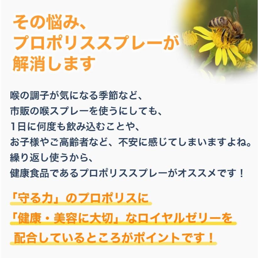 発送無料 ブラジル産 プロポリス スプレー ゴールド ノンアルコール 20ml 原液 蜂の恵み 液 ブラジル|aeshop|02
