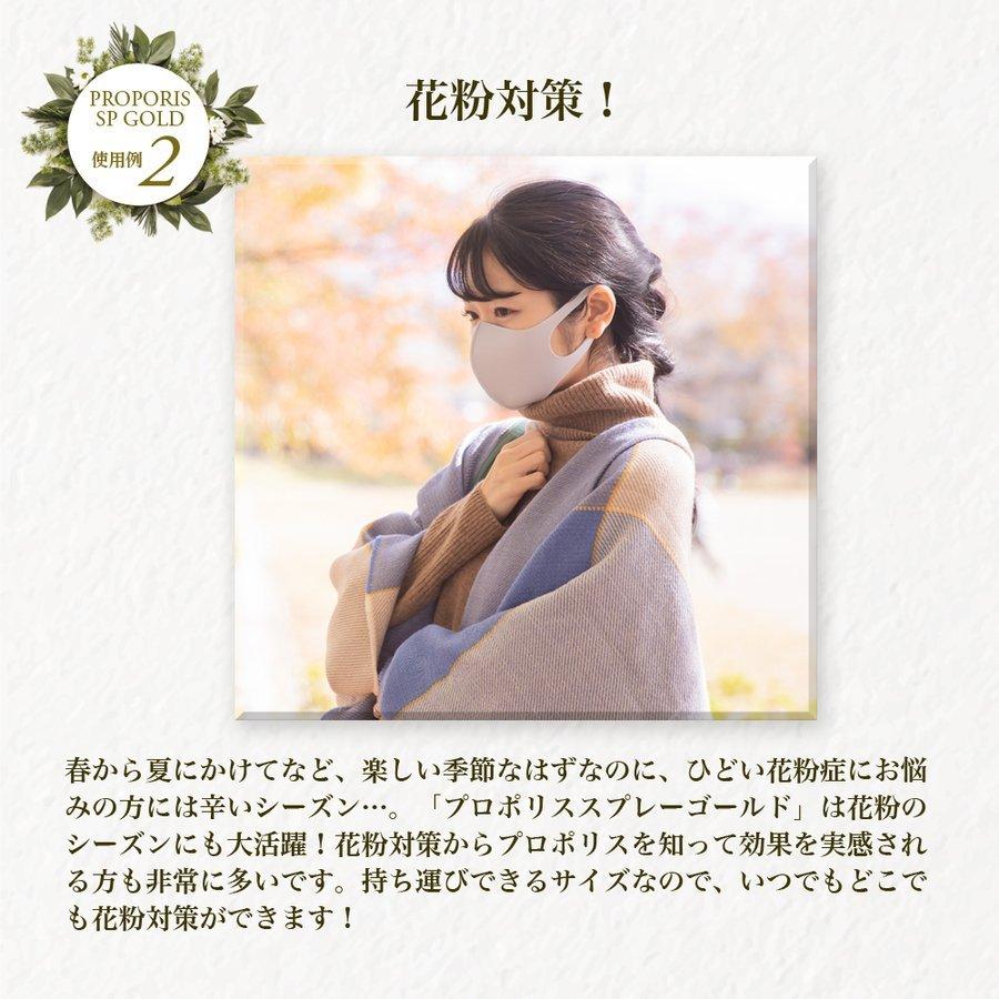 発送無料 ブラジル産 プロポリス スプレー ゴールド ノンアルコール 20ml 原液 蜂の恵み 液 ブラジル|aeshop|04