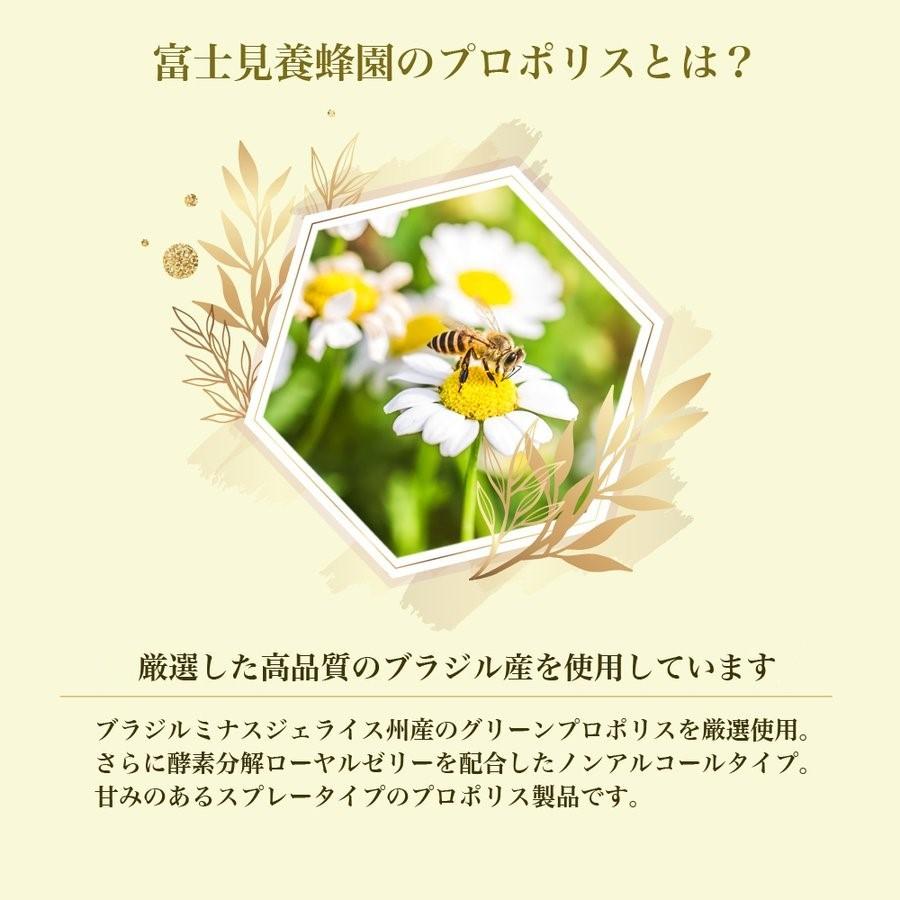 発送無料 ブラジル産 プロポリス スプレー ゴールド ノンアルコール 20ml 原液 蜂の恵み 液 ブラジル|aeshop|05