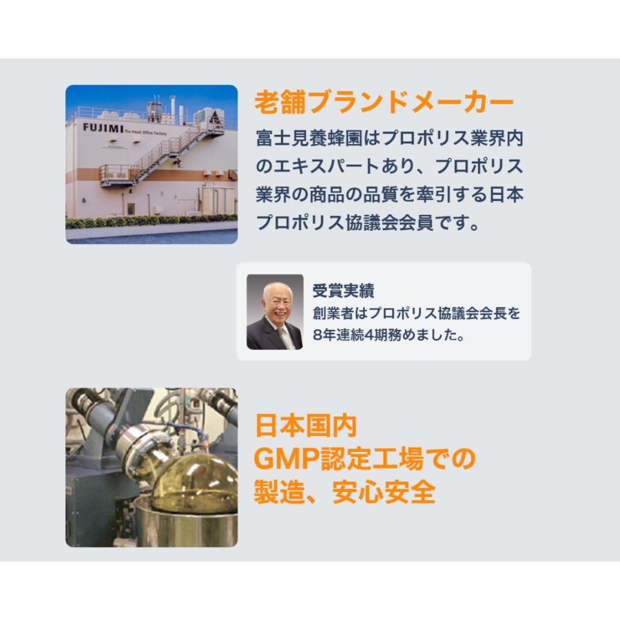 発送無料 ブラジル産 プロポリス スプレー ゴールド ノンアルコール 20ml 原液 蜂の恵み 液 ブラジル|aeshop|09