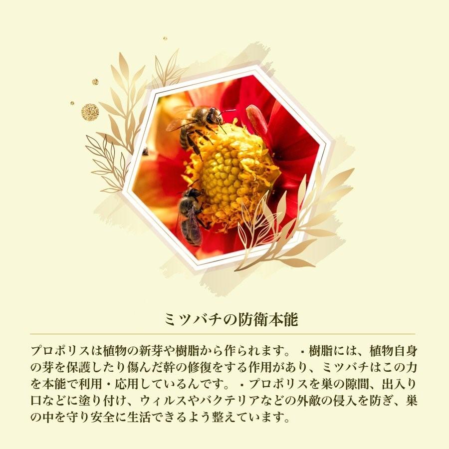 秋物 発送無料 【5本セット】プロポリス スプレー ゴールド ノンアルコール PROPORIS SP GOLD 20ml ×5本 蜂の恵み 液 ブラジル :fujimi005:AEShop ヤフー店 - 通販 - Yahoo!ショッピング 秋物 発送無料 【5本セット】プロポリス スプレー ゴールド ノンアルコール PROPORIS SP GOLD 20ml ×5本 蜂の恵み 液 ブラジル :fujimi005:AEShop ヤフー店 - 通販 - Yahoo!ショッピング