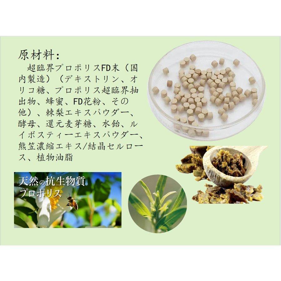 蜂寿露 超臨界プロポリス グリーンプロポリス ブラジル産プロポリス使用 栄養補助 サプリメント 抗ウィルス 花粉症軽減 老化防止 Propolis Aeshop ヤフー店 通販 Yahoo ショッピング
