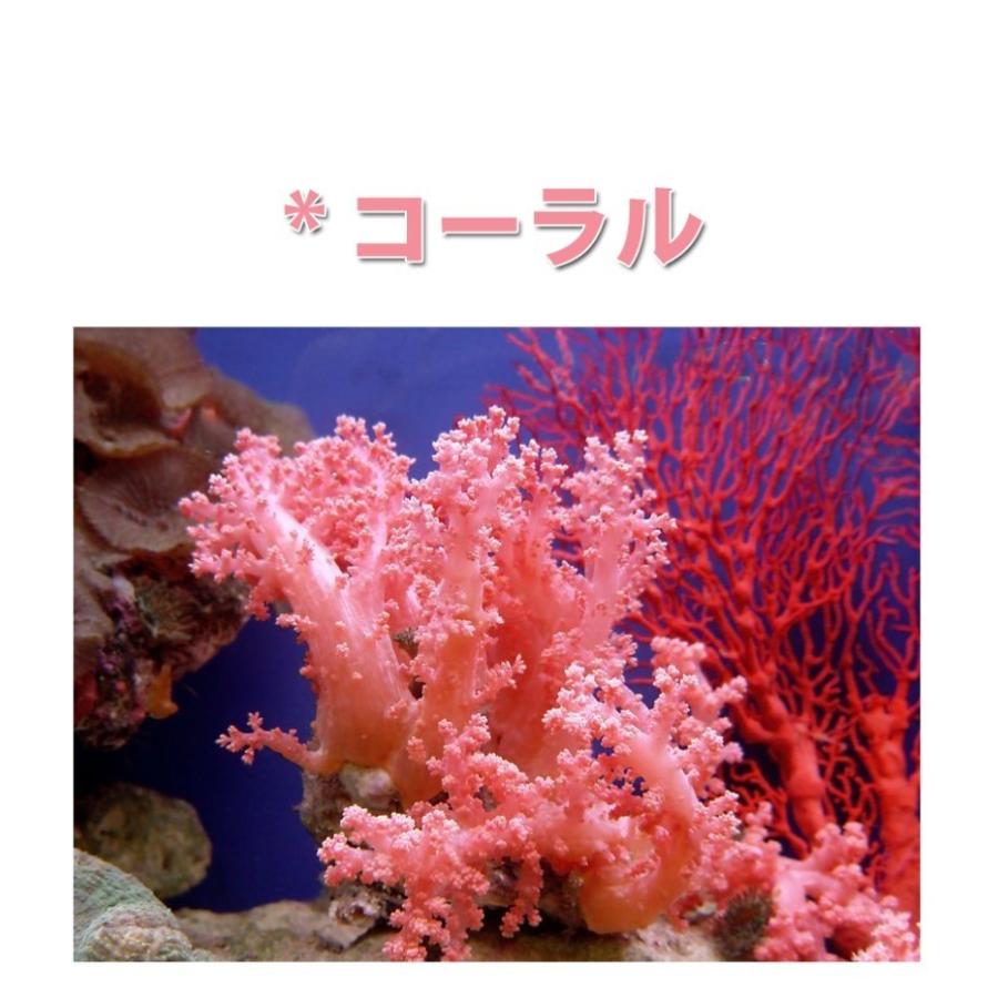 【3枚セット】Aerosilver Mesh 3Dマスク【全国送料無料】銀イオン 防臭・抗菌 繰り返し使える 大人用 安い 伸縮性 耳が痛くならない フィット ウィルス対策 SEK |  | 22