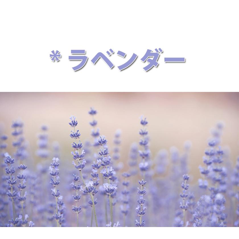 【3枚セット】Aerosilver Mesh 3Dマスク【全国送料無料】銀イオン 防臭・抗菌 繰り返し使える 大人用 安い 伸縮性 耳が痛くならない フィット ウィルス対策 SEK |  | 24