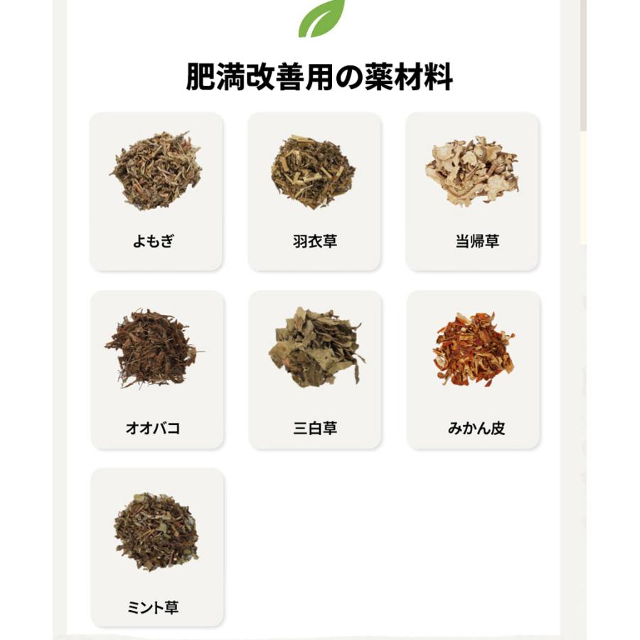 よもぎ蒸し材料【60g x 10個入り】 肥満用 美肌用 婦人健康用 よもぎ