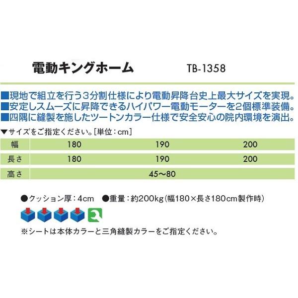 半額品 ポイント5倍 電動キングホーム Tb 1358 訓練台 運動療法 リハビリ 高田ベッド リハビリベッド 訓練台 整体 施術用ベッド 医療 整体 業務用 在庫あり 即納 Www Simon Page Com