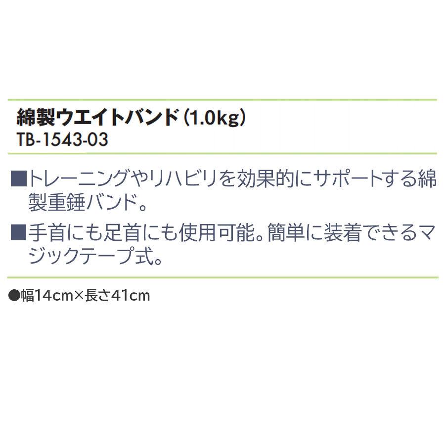 高田ベッド  綿製ウエイトバンド（1.0kg） TB-1543-03  （リハビリ）｜aestheline｜03