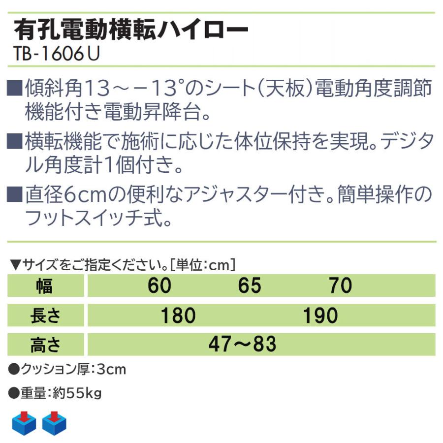 安心と信頼 高田ベッド 電動横転ハイロー Tb 1606 Fucoa Cl