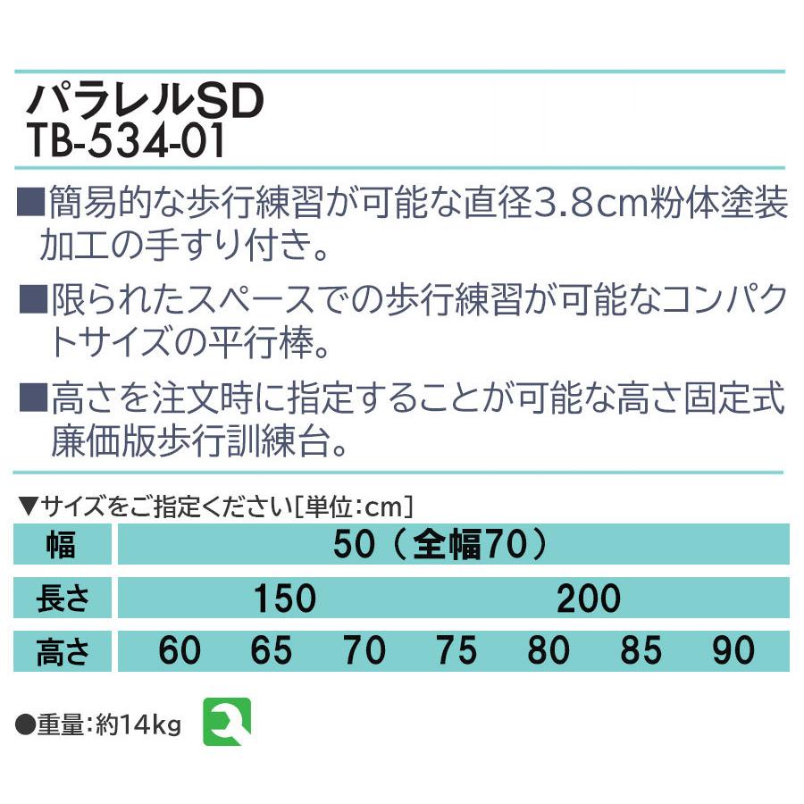 2021新発 高田ベッド製作所 ロングパラレルDX 01 TB-1078-01 長さ250cm 21