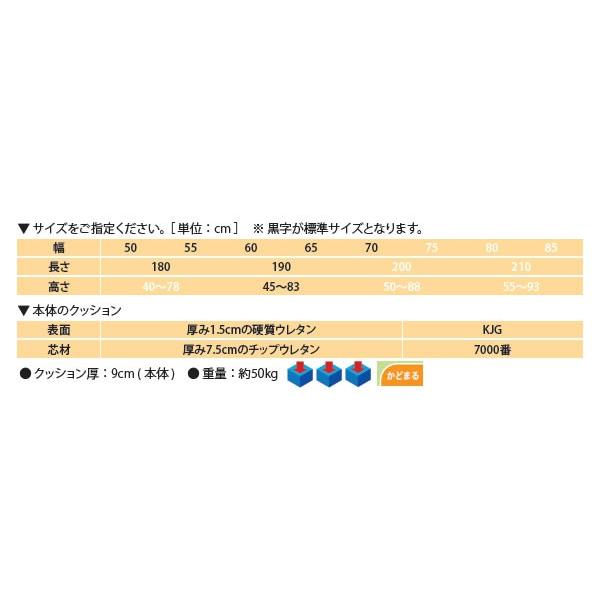 ポイント5倍) パイオニア-2型 TB-842 手置き台付 電動昇降施術台 高田 ポイント5倍) パイオニア-2型 TB-842 手置き台付 電動昇降施術台 高田