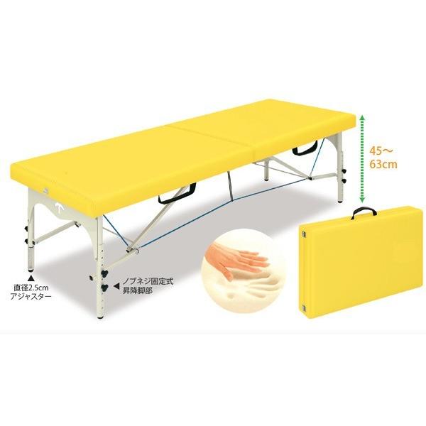 長命整体 施術ベッド(TAKADA BED) 新リンパ療法 - 簡易ベッド 長命整体 施術ベッド(TAKADA BED) 新リンパ療法 - 簡易ベッド