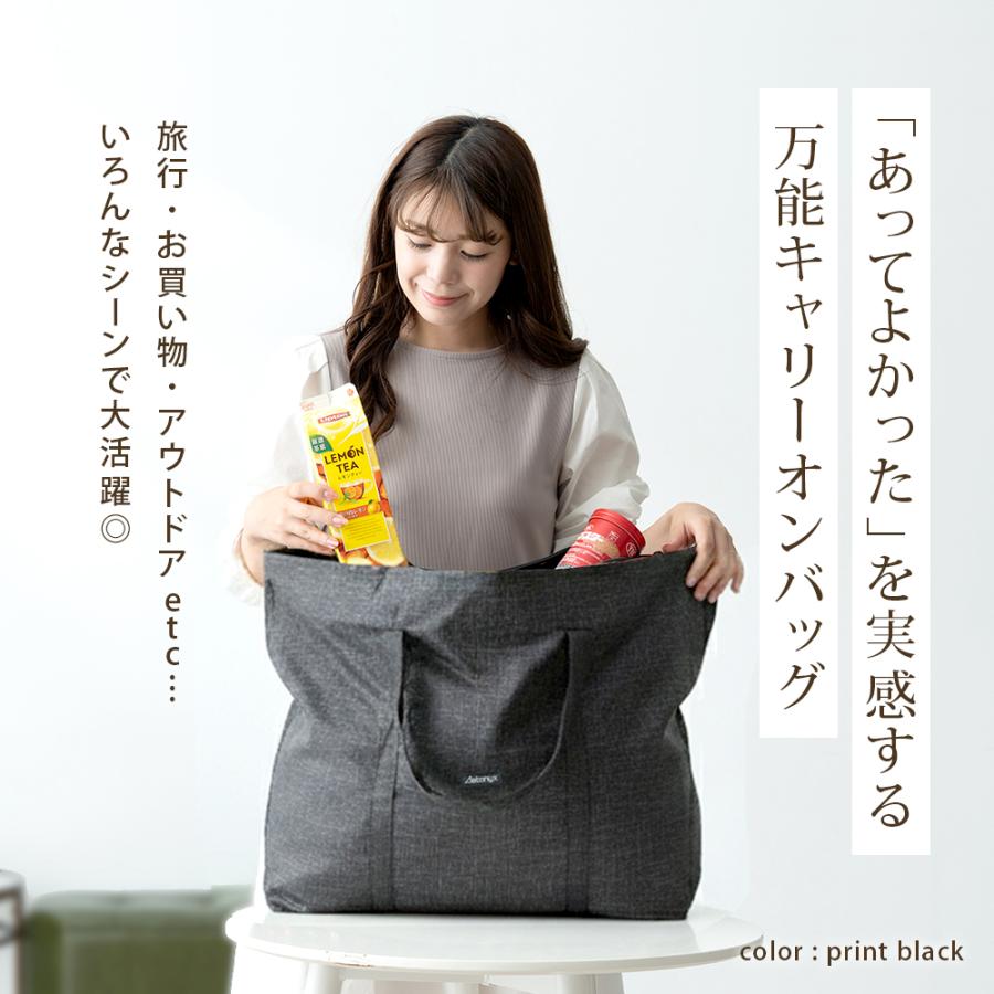 AETONYX（アエトニクス） キャリーオンバッグ 折りたたみ おしゃれ