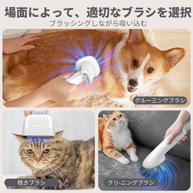 BZII ペット用バリカンセット 5in1 ペットグルーミングセット 換毛期対策 犬 猫美容器 多機能 ペットグルーミングセット バリカン ペットグルーミングセット ペット用バリカンセット 5in1 換毛期対策 猫美容器 多機能 バリカン