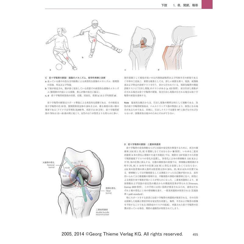 プロメテウス解剖学アトラス 解剖学総論/運動器系 第3版 解剖学総論/運動器系 第3版