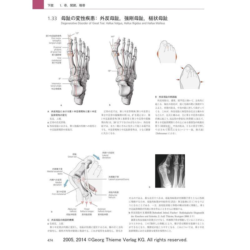 プロメテウス解剖学アトラス 解剖学総論/運動器系 第3版 解剖学総論/運動器系 第3版