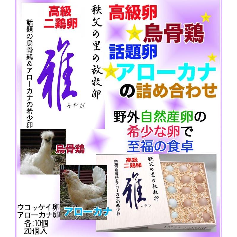 Bao Chung チャボ、烏骨鶏、アローカナ各30個 大和地鶏50個 食品 Bao