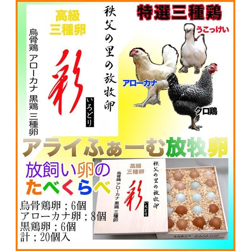 特選；三種鶏卵「彩（いろどり）」 20個木箱入り￥4,960 烏骨鶏卵