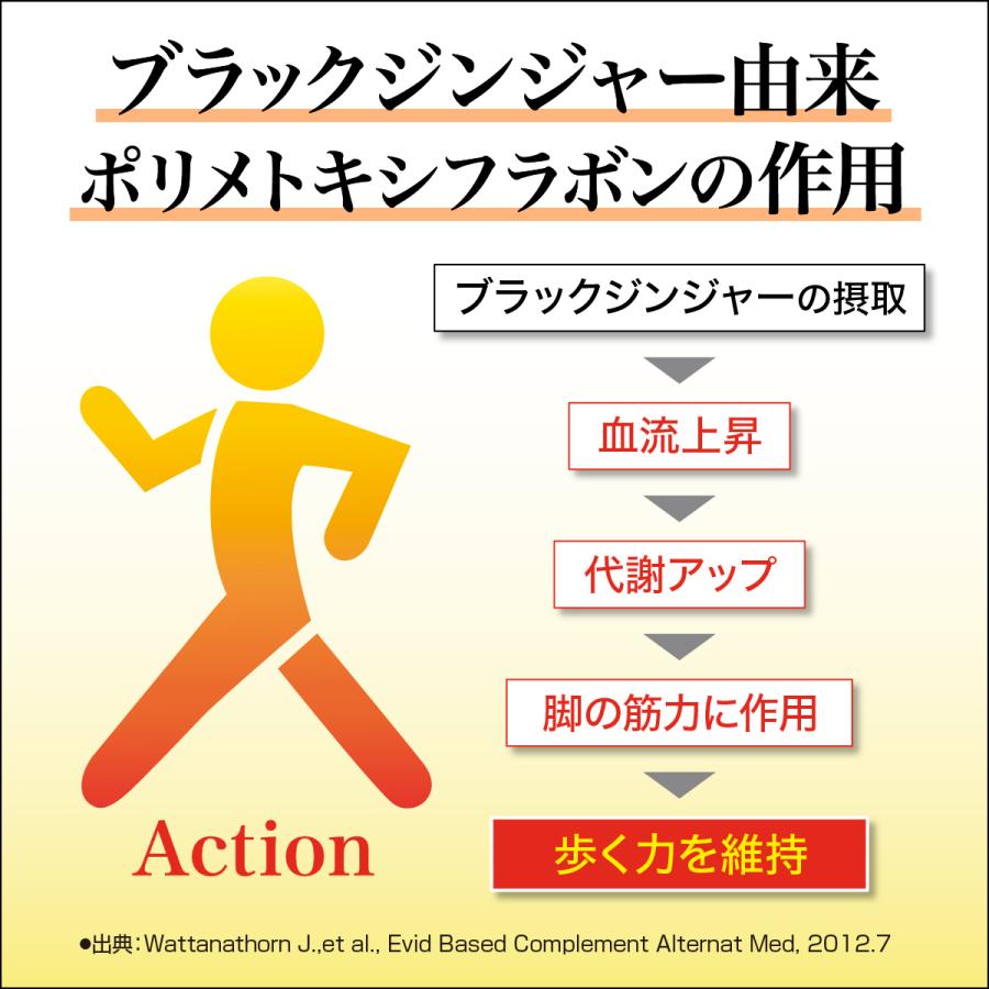 AFC（エーエフシー） ブラックジンジャーGOLD 30日分 3個セット ポリ