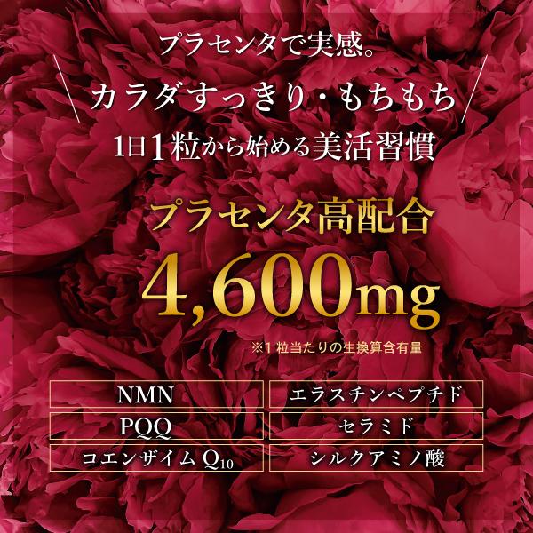 AFC プラセンタ 4600 30日分 3袋セット サプリメント NMN PQQ