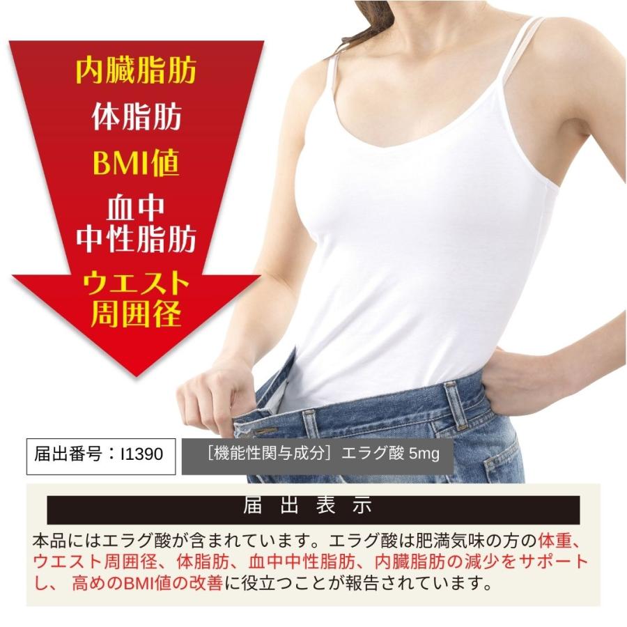 AFC（エーエフシー） 肥満気味の方の脂肪減少をサポートする エラグ酸