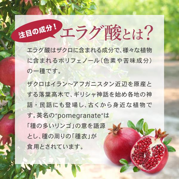 AFC 肥満気味の方の脂肪減少をサポートする エラグ酸 サプリ 30 AFC 肥満気味の方の脂肪減少をサポートする エラグ酸 サプリ 30