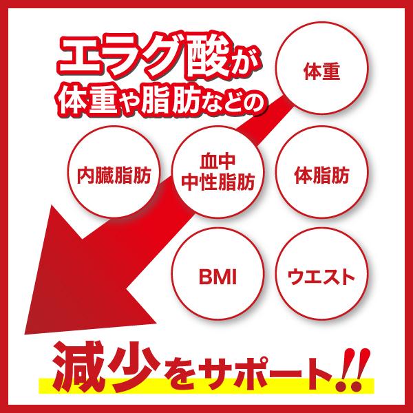 AFC（エーエフシー） 肥満気味の方の脂肪減少をサポートする エラグ酸