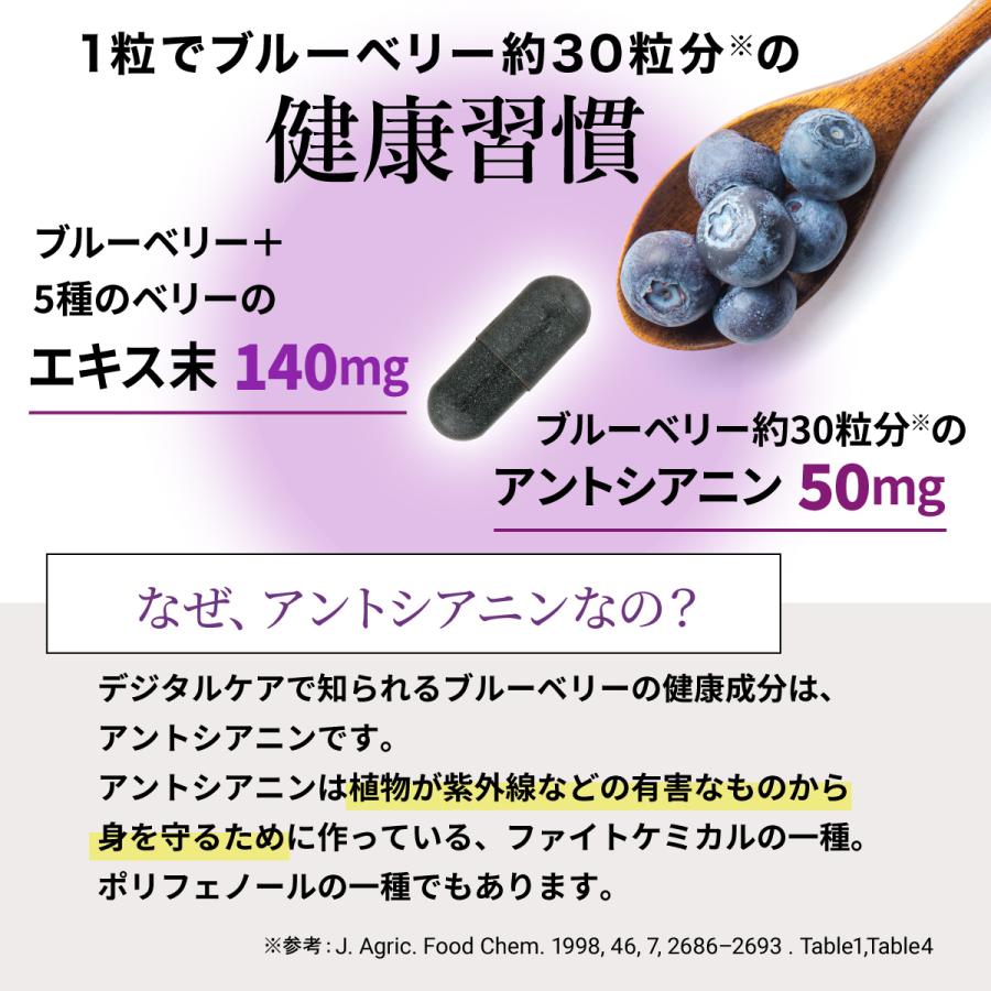 AFC（エーエフシー） ブルーベリー+5種のベリー 30日分 サプリ