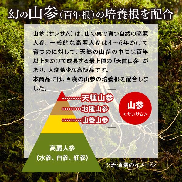 AFC 伝承の健康源 高麗紅人参&山参百年根 30日分 高麗人参 山参 AFC 伝承の健康源 高麗紅人参&山参百年根 30日分 高麗人参 山参