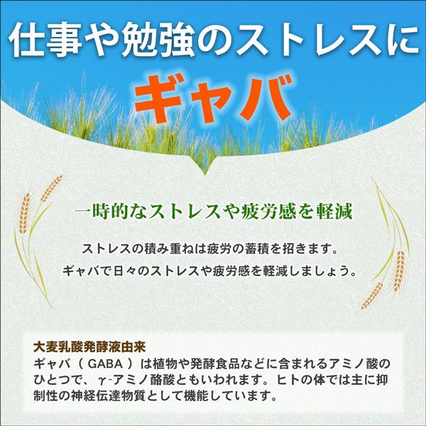 【機能性表示食品】良好な睡眠と疲労感の軽減をダブルケア　ネルナラW(ダブル) 　30日分　 ラフマ　GABA　サプリ｜afcshop｜07