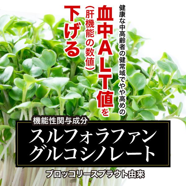 AFC（エーエフシー） 肝の極 30日分 ×6袋セット 肝臓 サプリ【機能性 