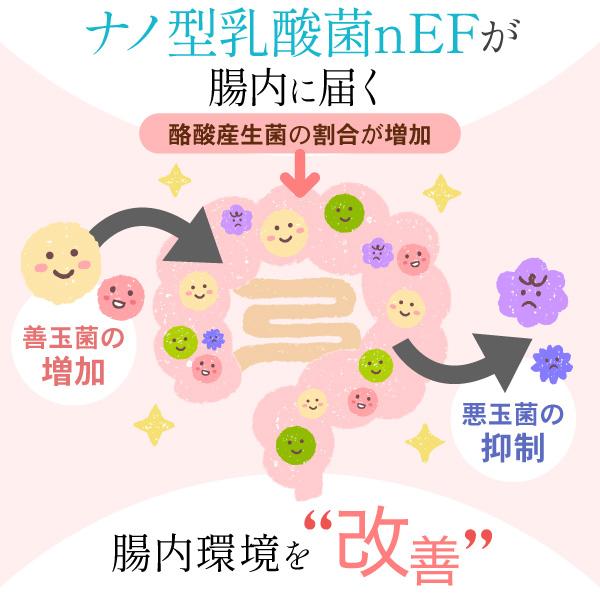 AFC（エーエフシー） 1日1兆個の ナノ型 乳酸菌 30日分 【機能性表示