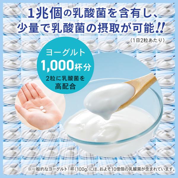 AFC（エーエフシー） 1日1兆個の ナノ型 乳酸菌 30日分 【機能性表示