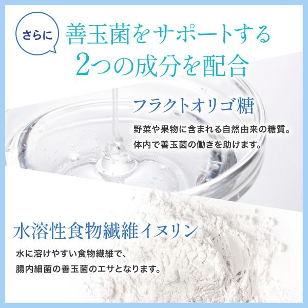 AFC（エーエフシー） 1日1兆個の ナノ型 乳酸菌 30日分 6袋セット