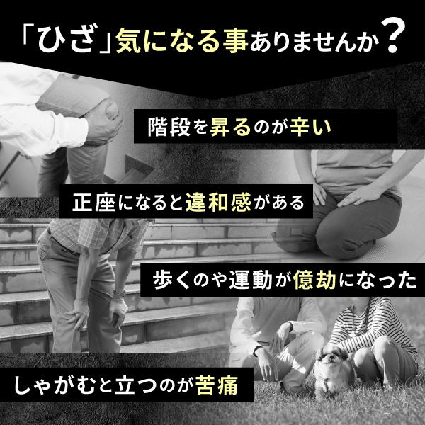 プロテオグリカン　あゆみの宝 AFC プロテオグリカン あゆみの宝 ひざサポート 30日分