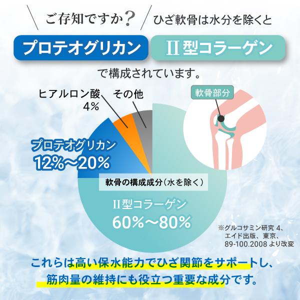 AFC（エーエフシー） あゆみの宝 プロテオグリカン サプリ 30日分