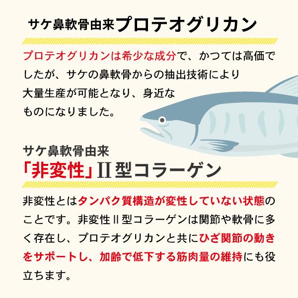 ♦当日発送♦AFC あゆみの宝 プロテオグリカン 30粒 6袋【新品未開封】 AFC あゆみの宝 プロテオグリカン 30日分 1袋 ☆当日発送☆ - メルカリ