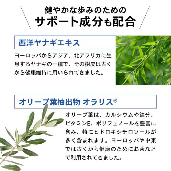 AFC（エーエフシー） あゆみの宝 プロテオグリカン サプリ 30日分 3個
